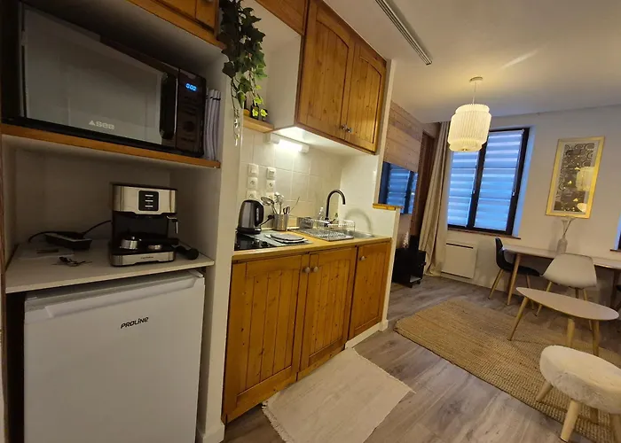 Cosy Appartement Embrun Centre